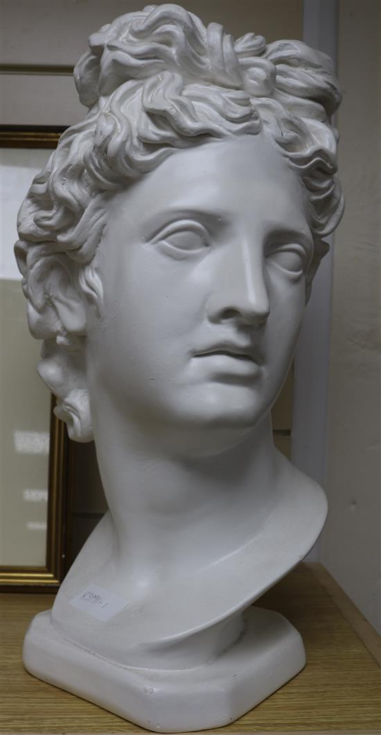 A plaster bust of Apollo